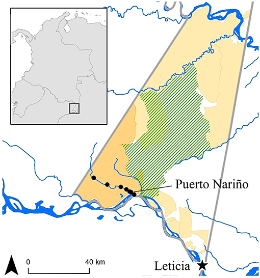 Frontiers Hunting In Times Of Change Uncovering Indigenous Strategies In The Colombian Amazon Using A Role Playing Game Ecology And Evolution