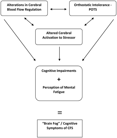 Frontiers  Caught in the thickness of brain fog: exploring the cognitive  symptoms of Chronic Fatigue Syndrome