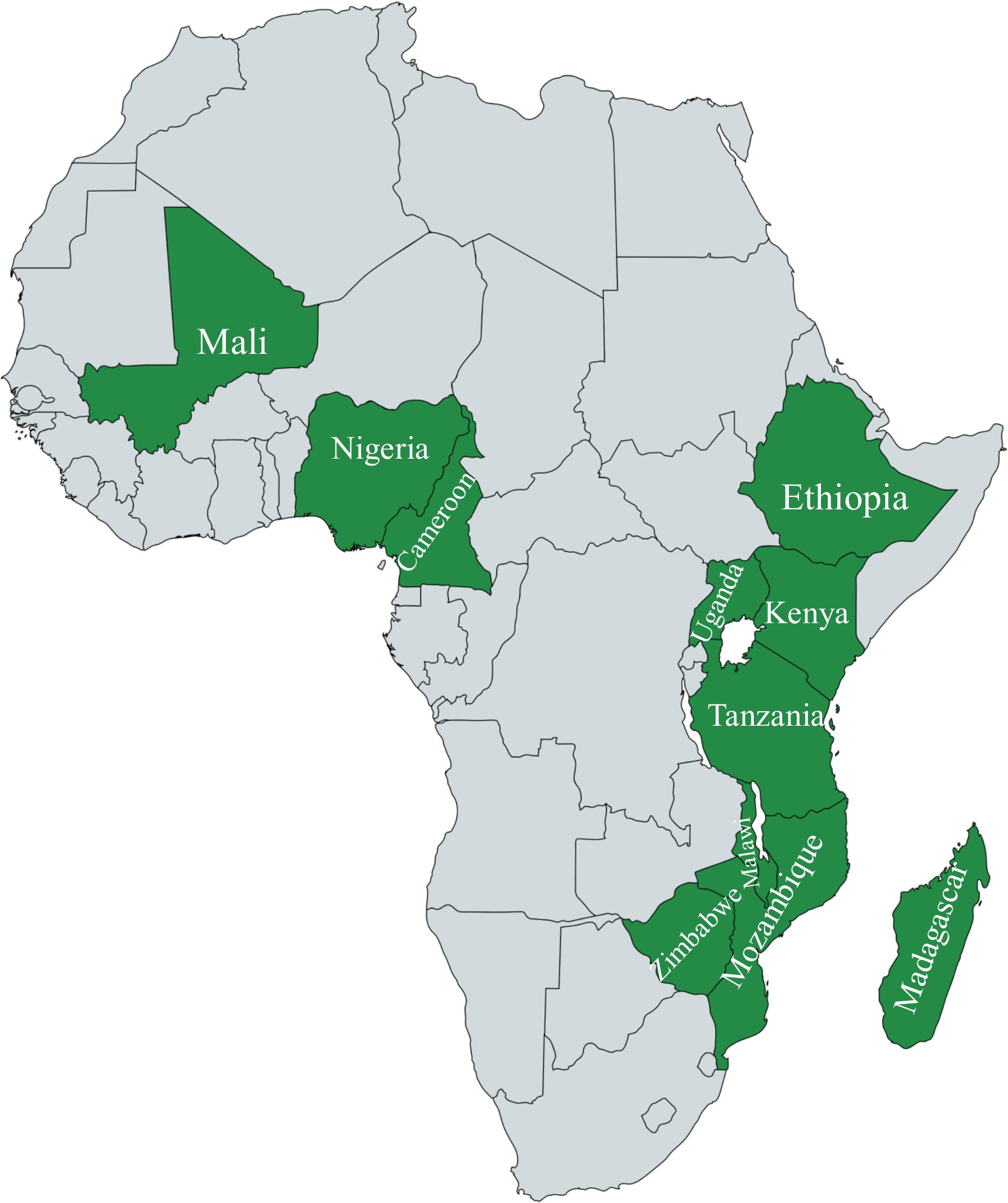 www.frontiersin.org