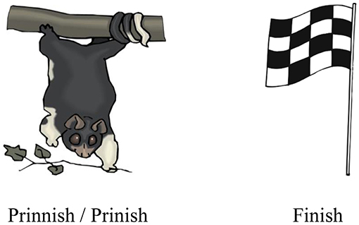 www.frontiersin.org