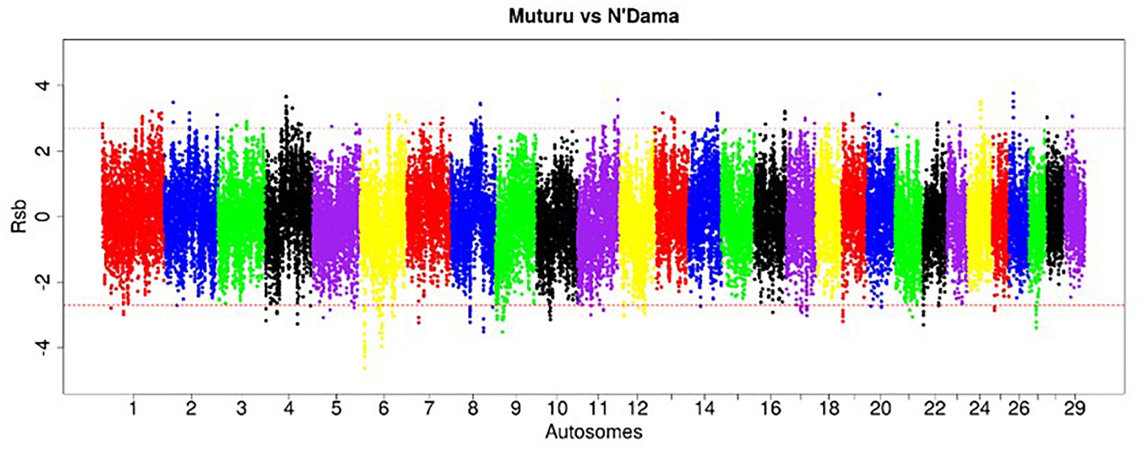 Frontiers | Genome Sequence Analysis Reveals Selection Signatures in ...