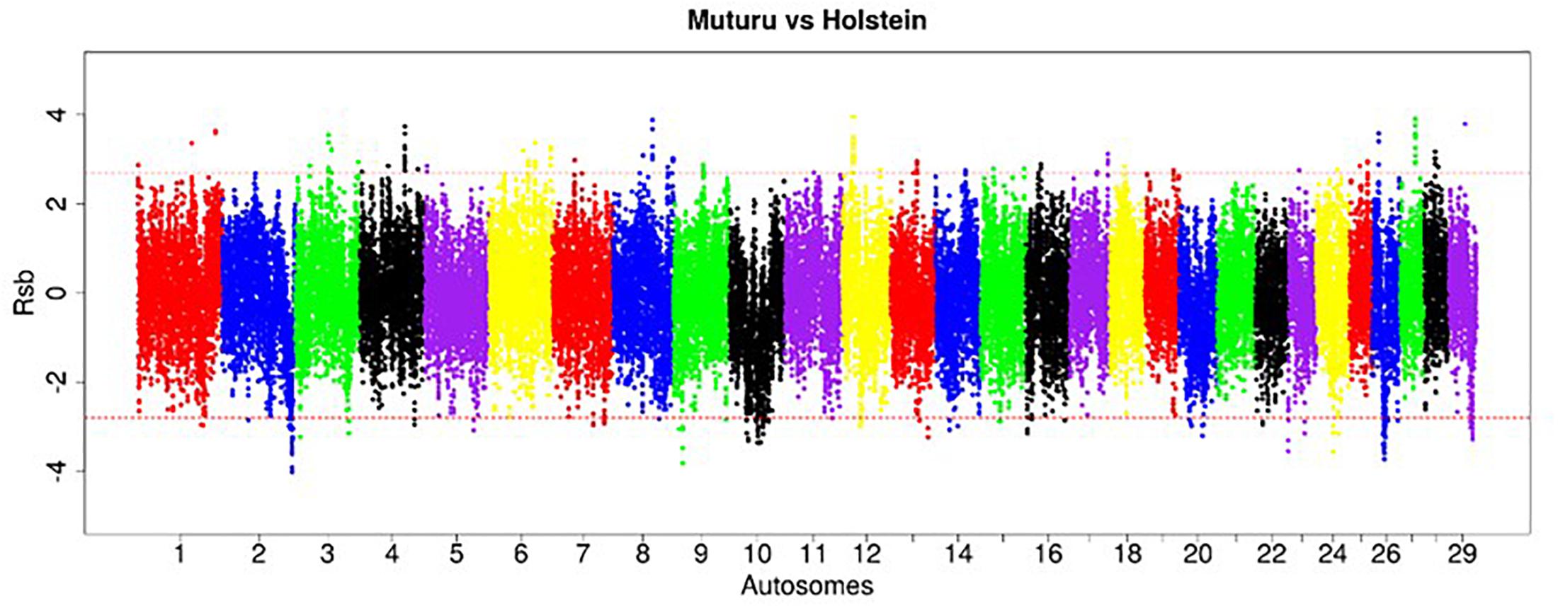 Frontiers | Genome Sequence Analysis Reveals Selection Signatures in ...