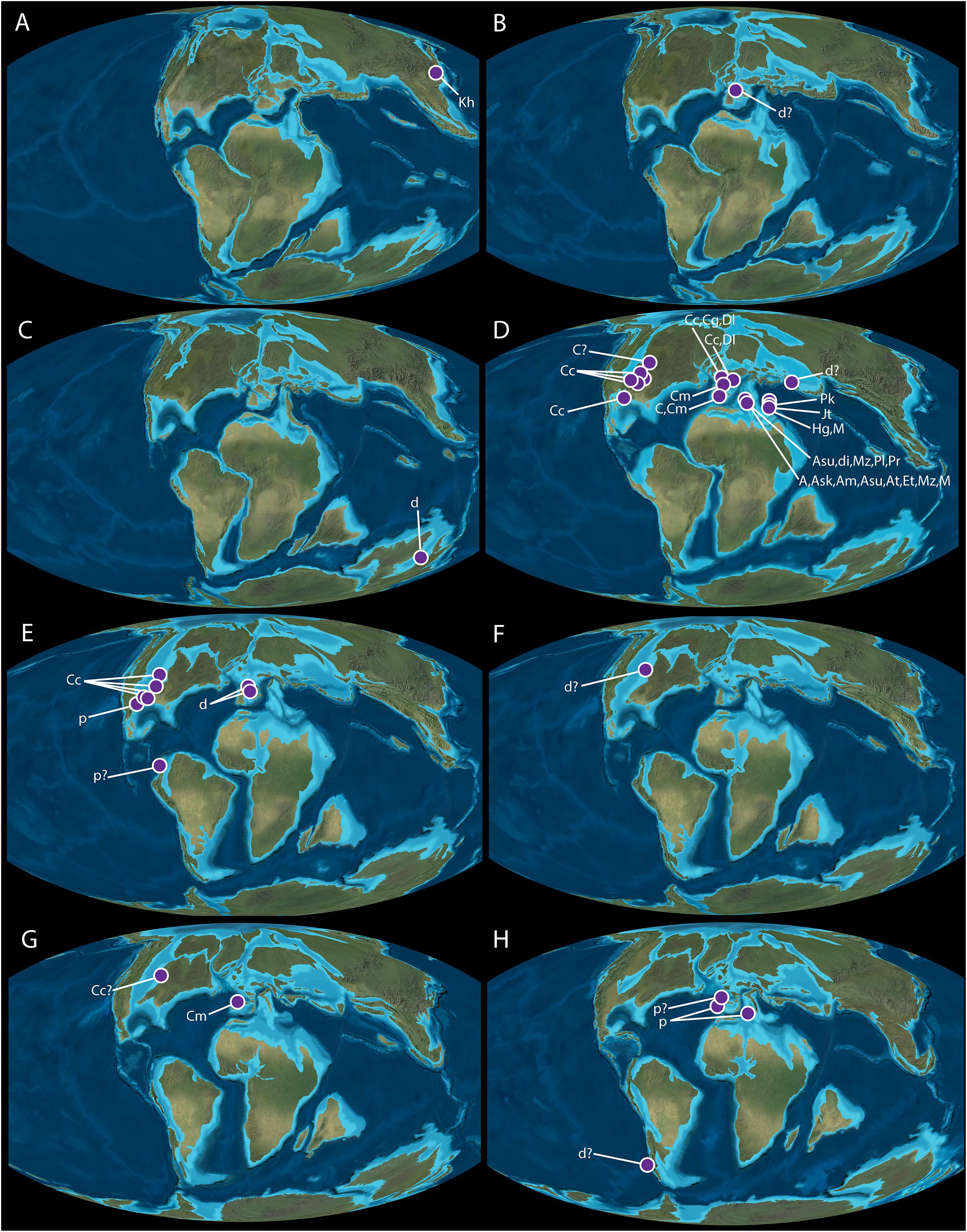 Frontiers Spatiotemporal Distributions Of Non Ophidian