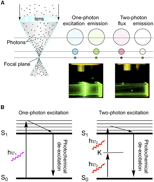 Pulse length measurement of the HGHG output using two-photon absorption