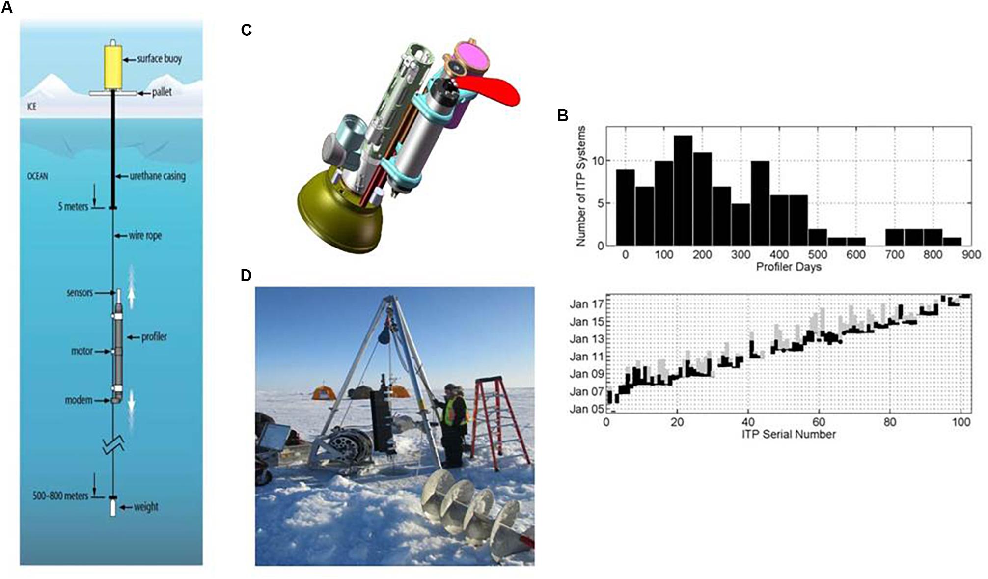 A dataset of direct observations of sea ice drift and waves in ice