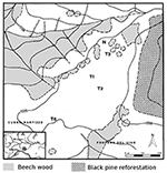 www.frontiersin.org