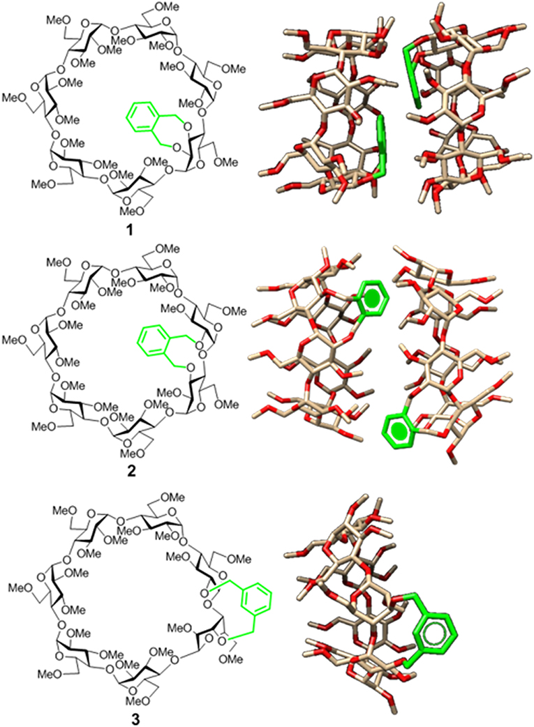 etisk ærme sne Frontiers | Dynamic Control of the Self-Assembling Properties of  Cyclodextrins by the Interplay of Aromatic and Host-Guest Interactions |  Chemistry