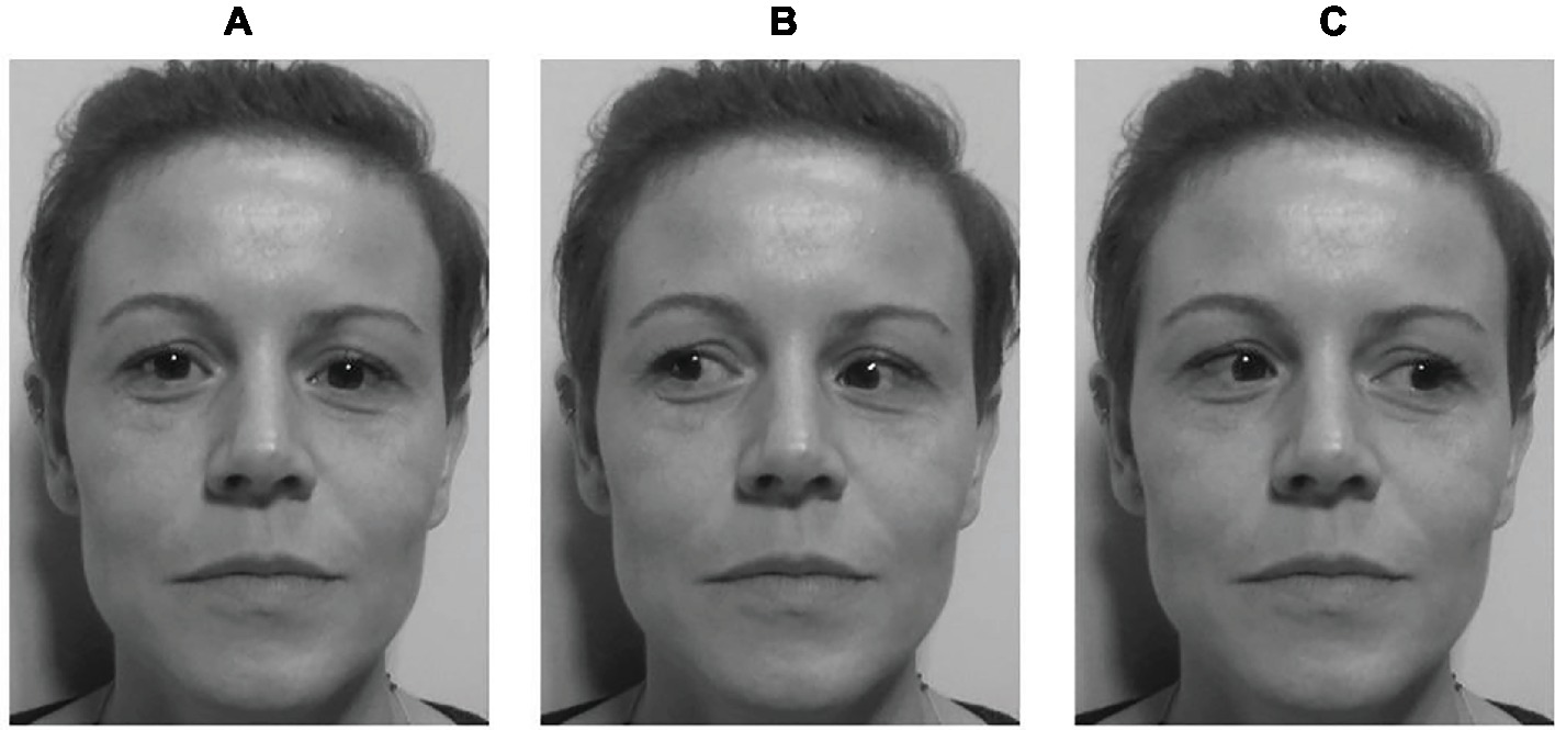 No evidence that gaze anxiety predicts gaze avoidance behavior