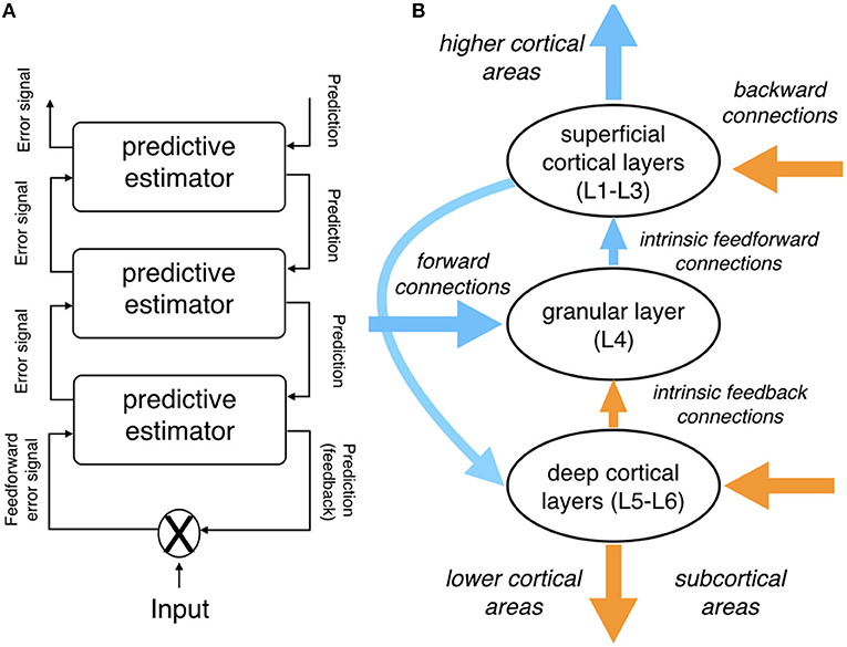 Frontiers | Toward a Neurobiologically Plausible Model of