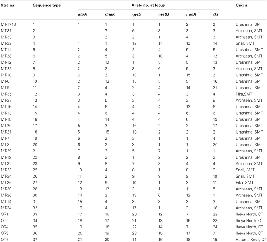 E Clip Size Chart