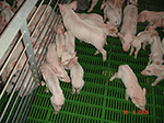 www.frontiersin.org