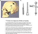 www.frontiersin.org