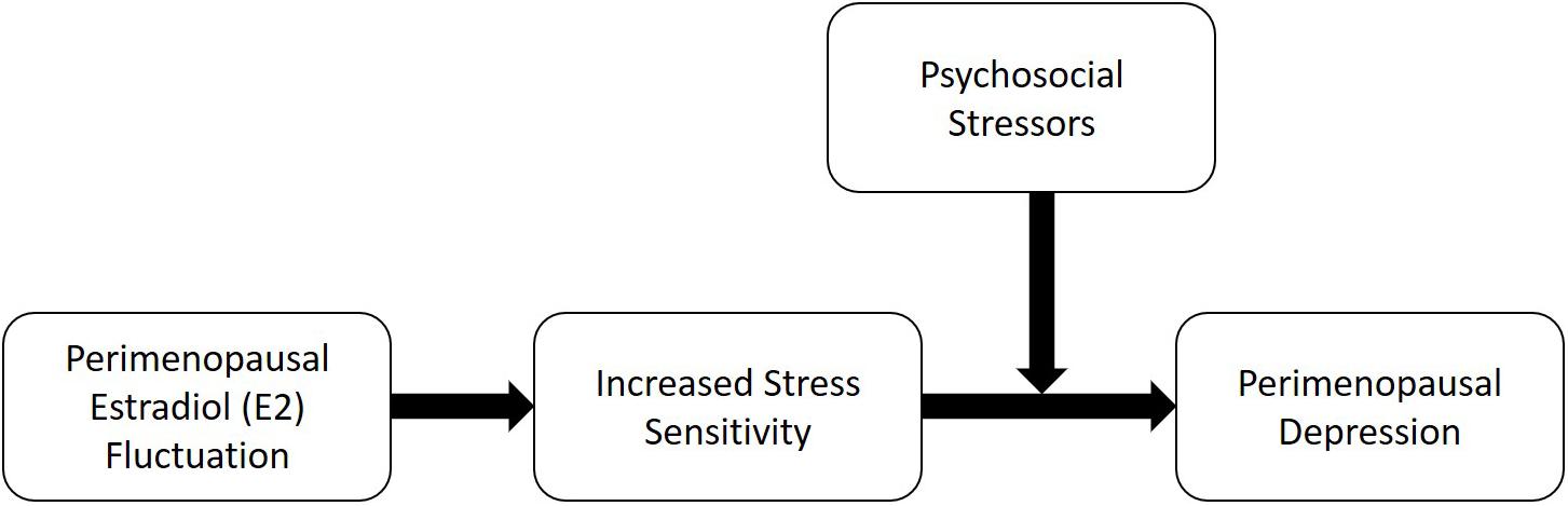Frontiers  Estradiol Fluctuation, Sensitivity to Stress, and