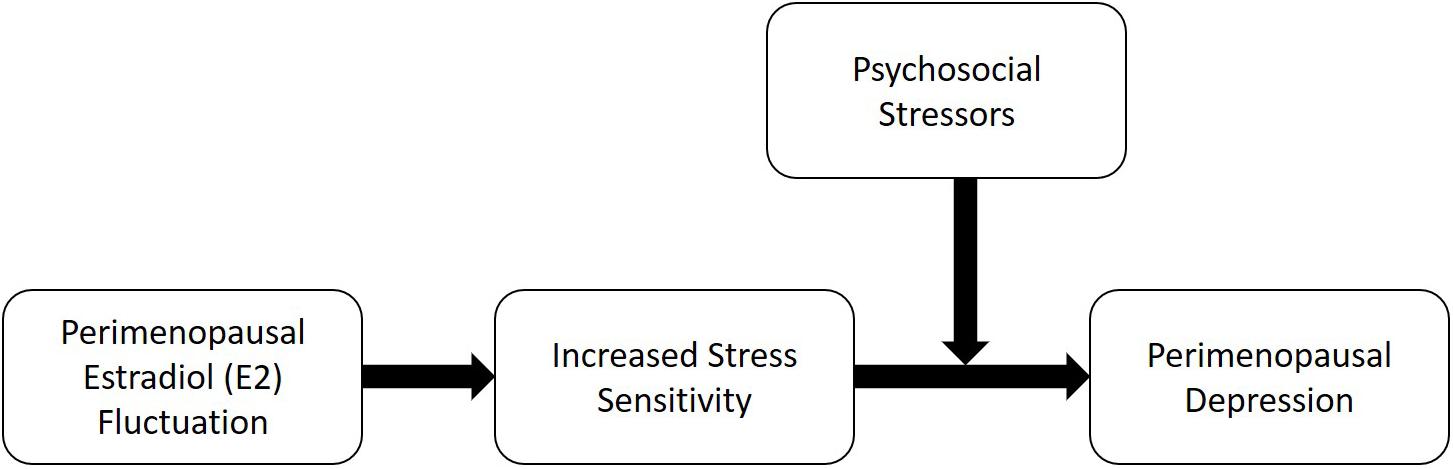 Frontiers  Estradiol Fluctuation, Sensitivity to Stress, and Depressive  Symptoms in the Menopause Transition: A Pilot Study