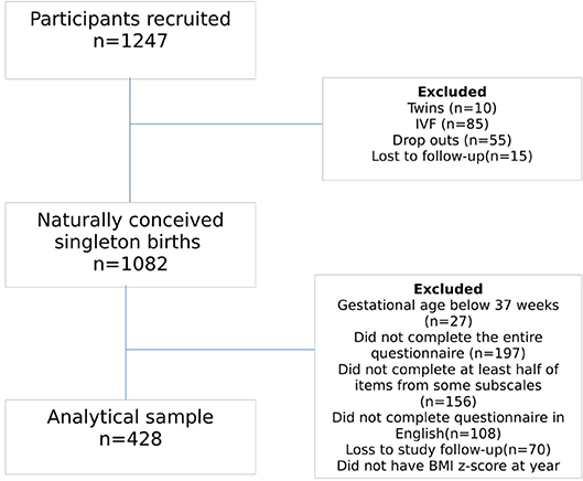 Frontiers Longitudinal Analysis Between Maternal Feeding