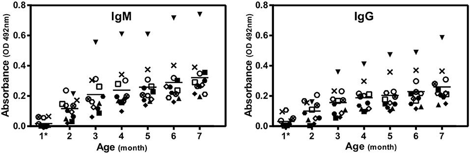 Frontiers  Limited Neonatal Carbohydrate-Specific Antibody