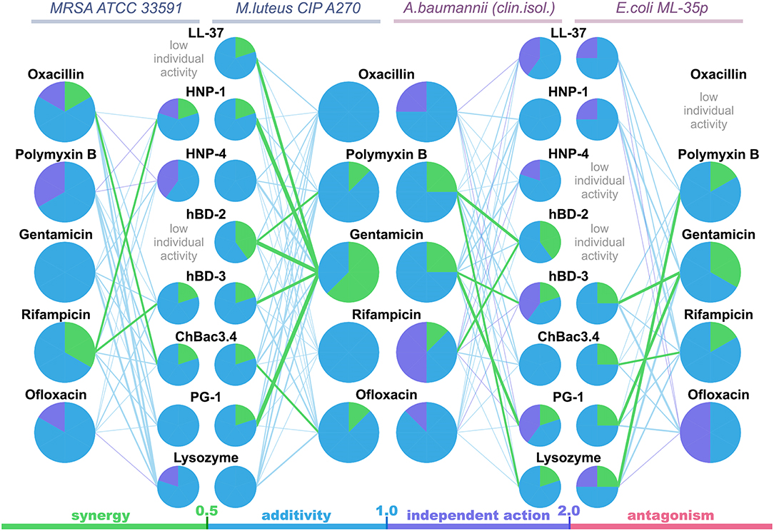 Frontiers Application Of Antimicrobial Peptides Of The Innate Immune System In Combination With Conventional Antibiotics A Novel Way To Combat Antibiotic Resistance Cellular And Infection Microbiology