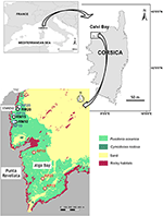 www.frontiersin.org