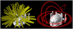 www.frontiersin.org