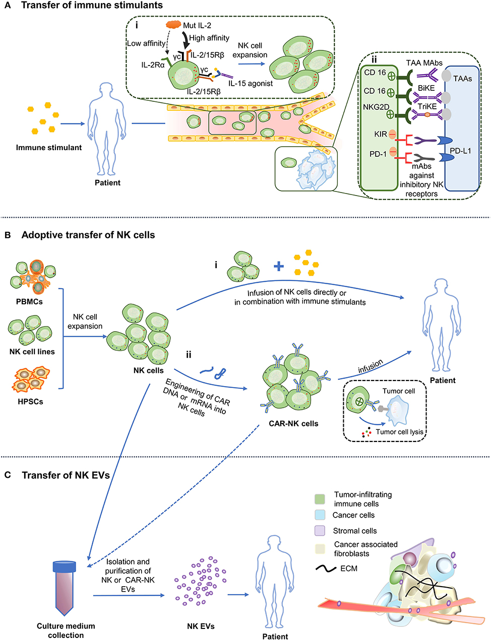 beslutte Grape Syd Frontiers | Cancer Immunotherapy Based on Natural Killer Cells: Current  Progress and New Opportunities | Immunology