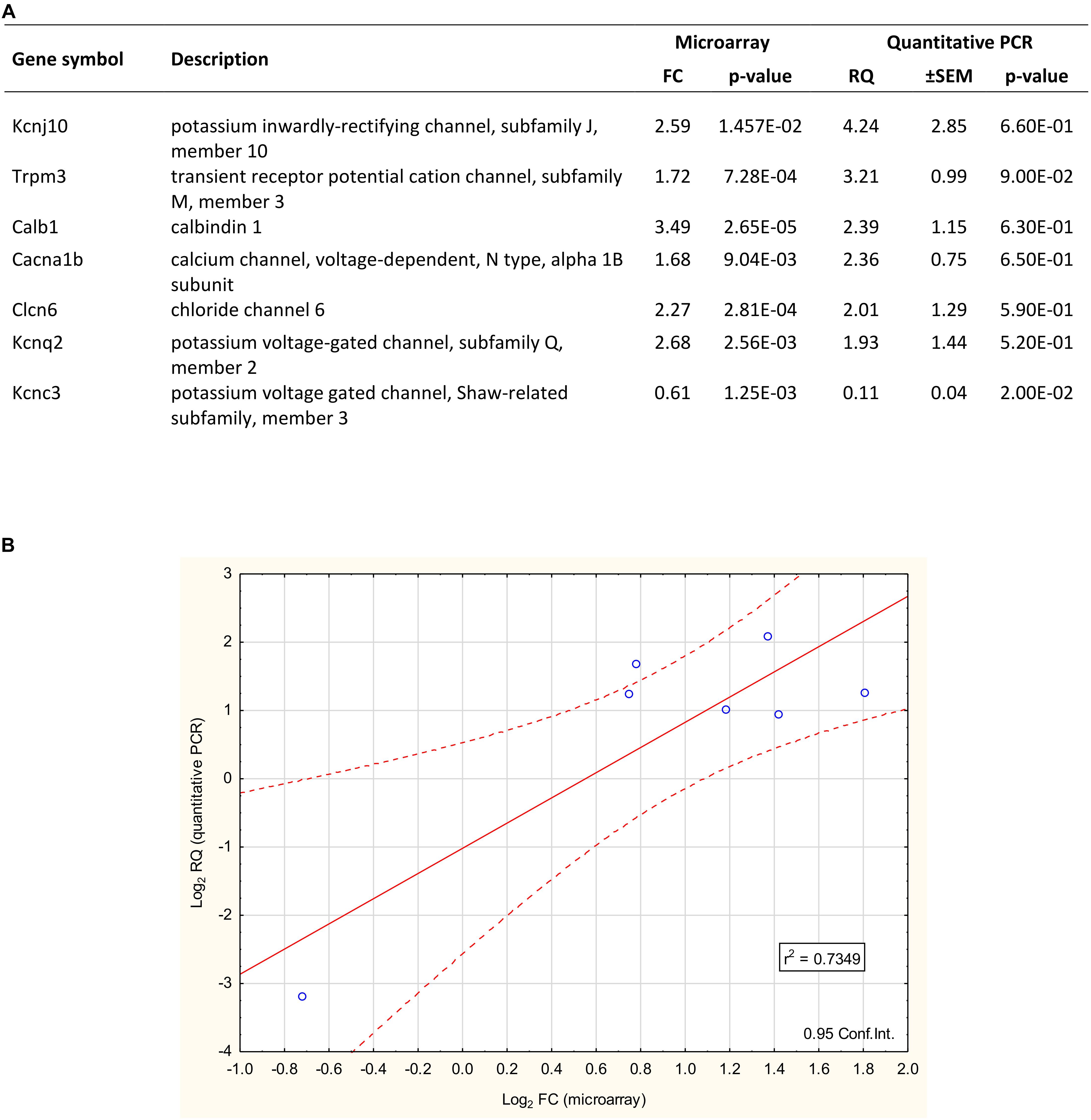 Frontiers Proestrus Differentially Regulates Expression Of - 