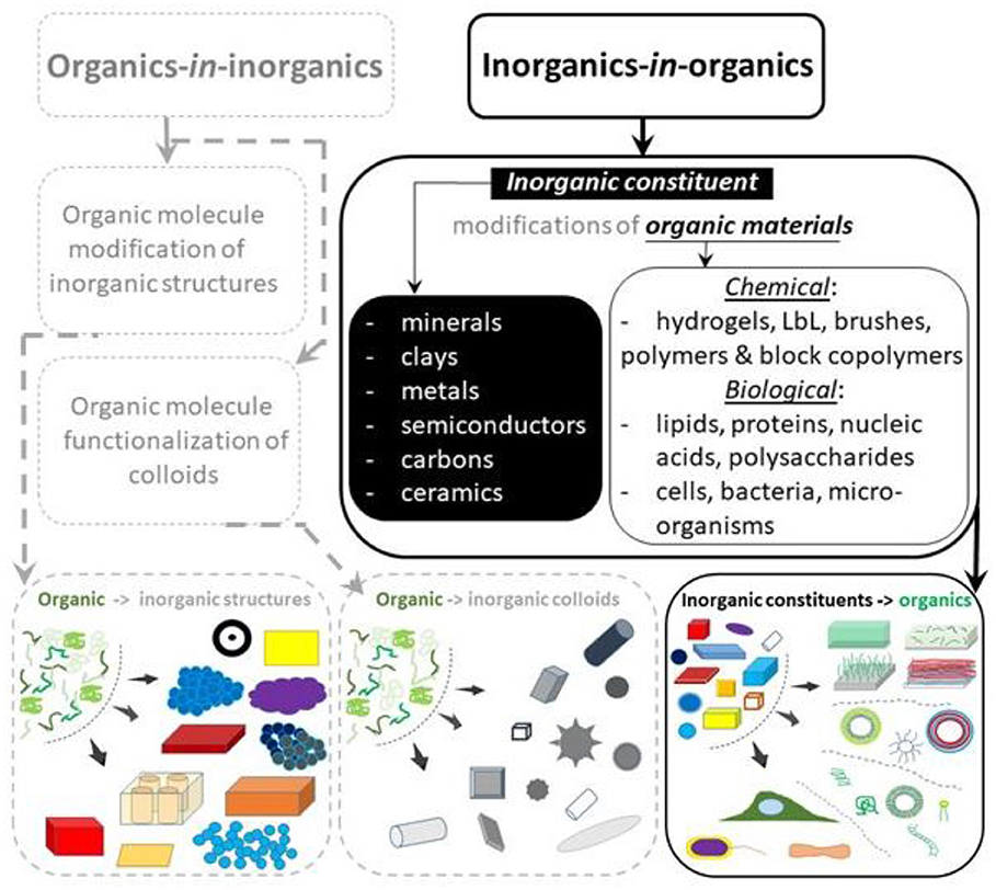 Frontiers Hierarchy Of Hybrid Materials The Place Of Inorganics In Organics In It Their Composition And Applications Chemistry