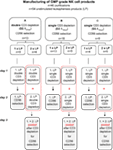 www.frontiersin.org