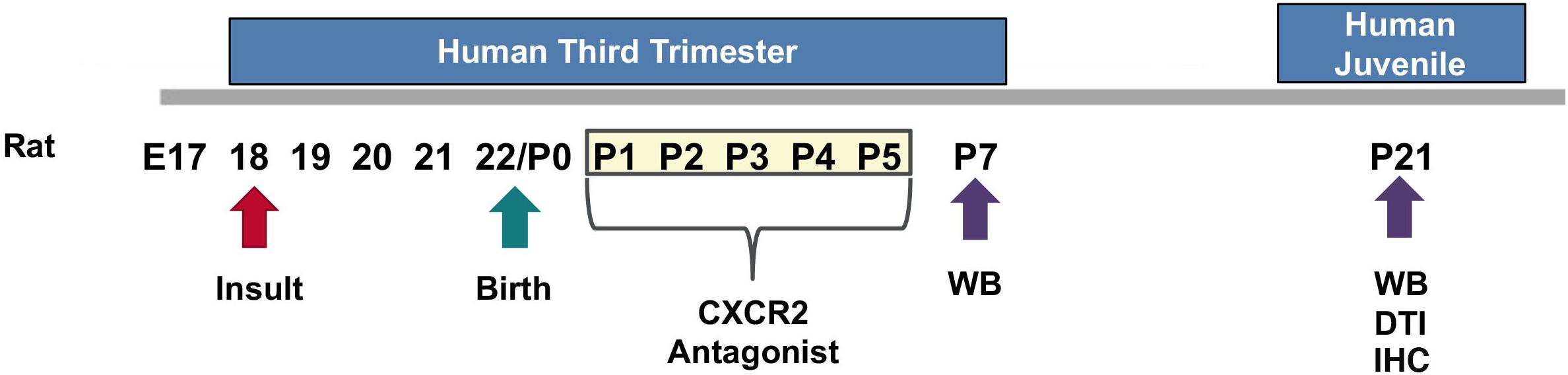 www.frontiersin.org