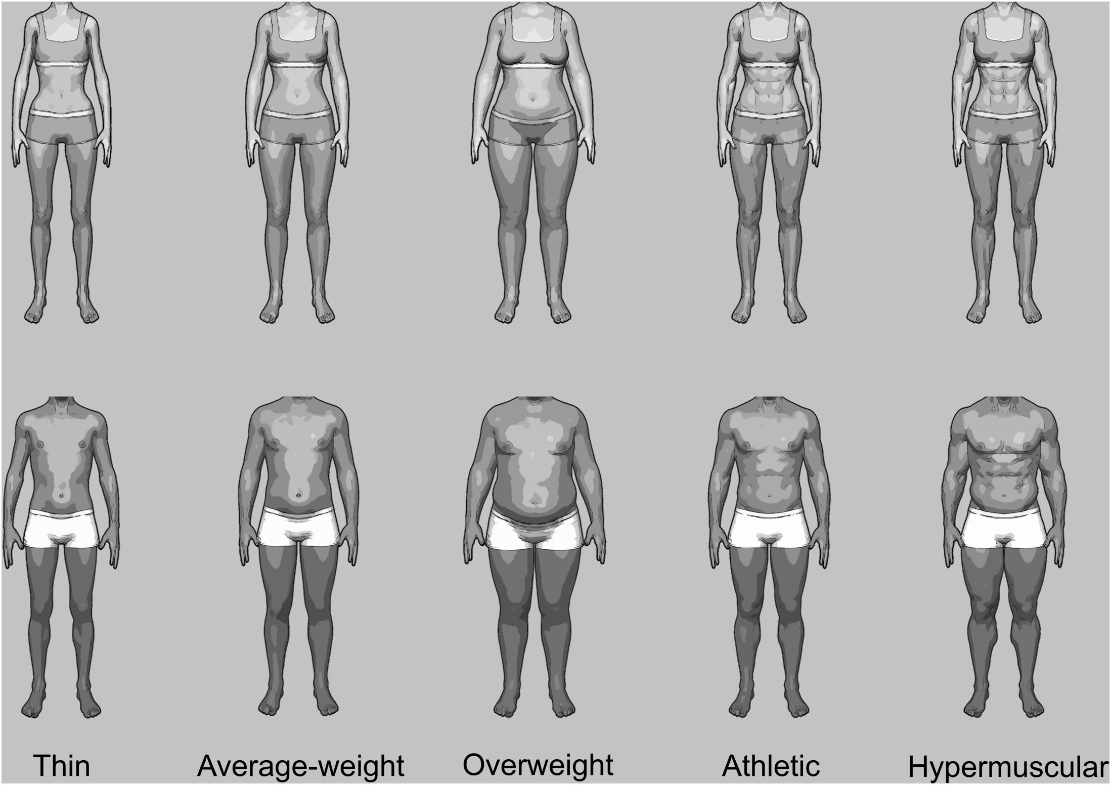 Frontiers  Gender Differences in Body Evaluation: Do Men Show