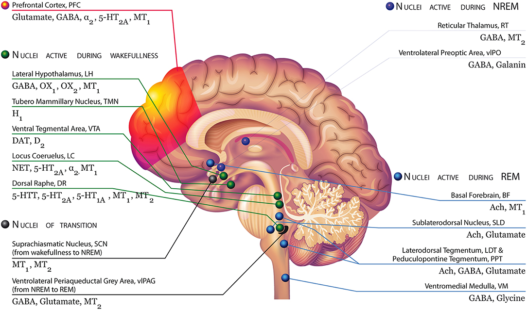 Metano basal alto