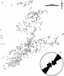www.frontiersin.org