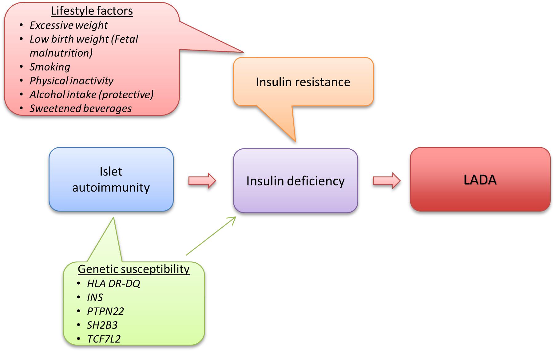 diabetes mellitus lada typ