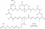 Rs virus voksne isolation