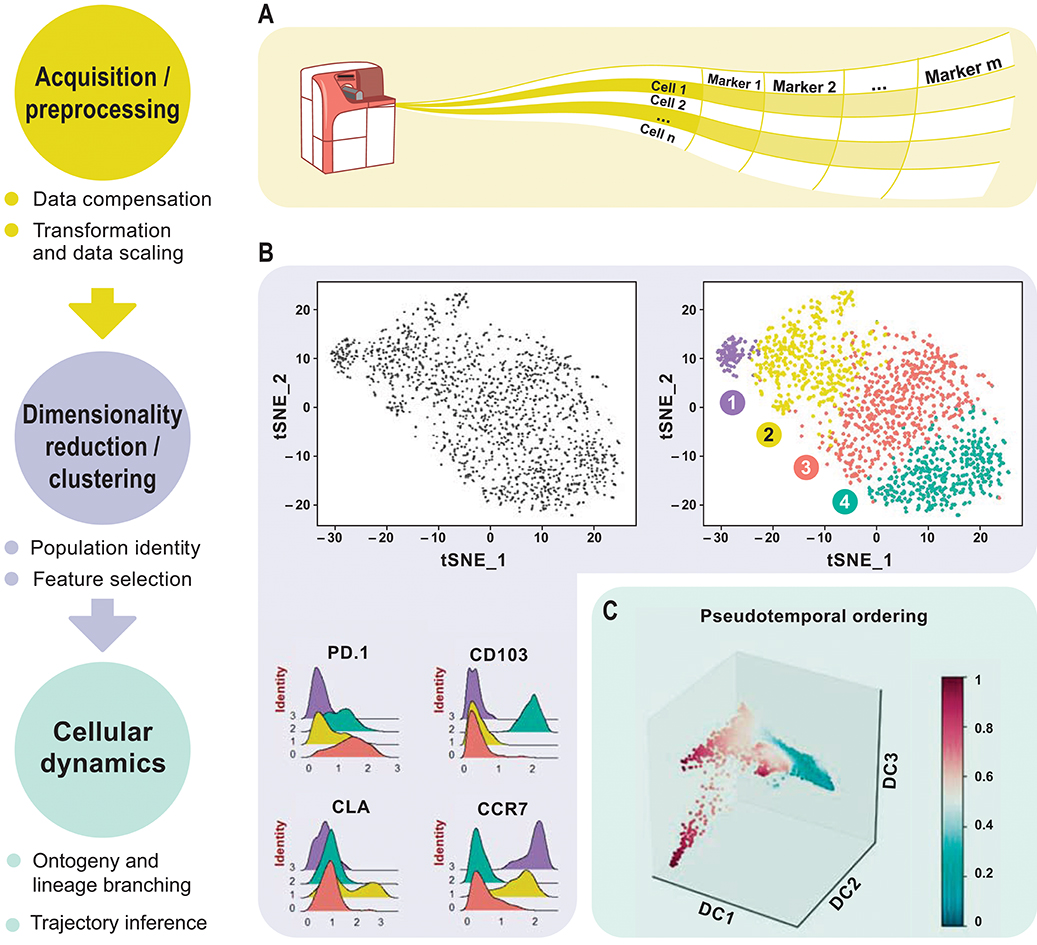 Reading Flow Cytometry Charts