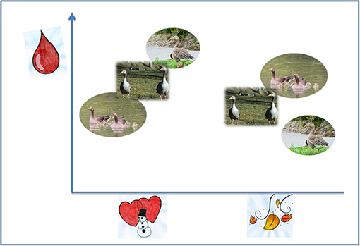 Figure 1 - The hematocrits of graylag geese vary depending on the season.