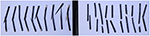 www.frontiersin.org