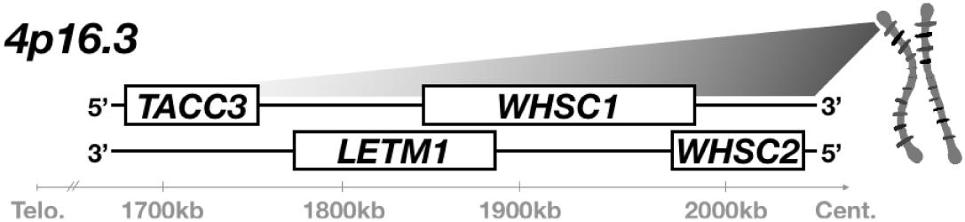 www.frontiersin.org