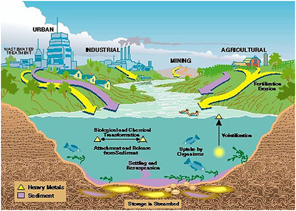 Image result for gold led arsenic water contamination