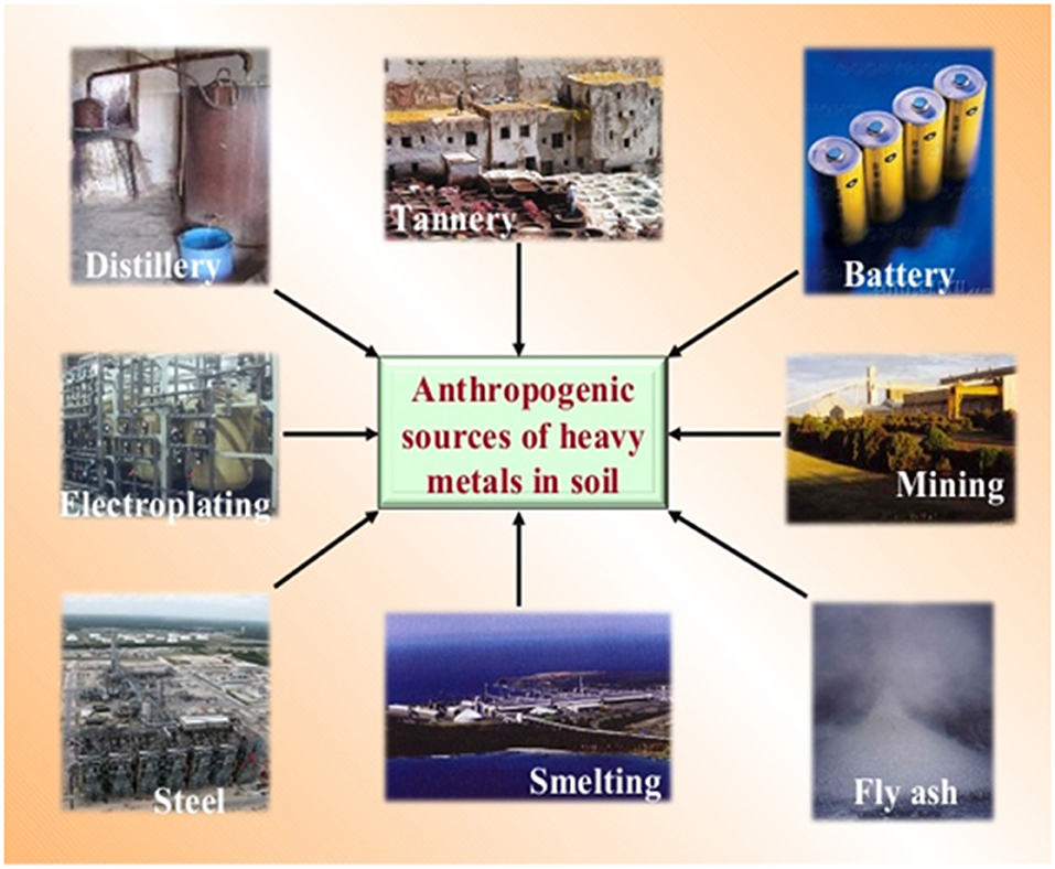 Frontiers Integrated Remediation Processes Toward Heavy Metal Removal Recovery From Various Environments A Review Environmental Science