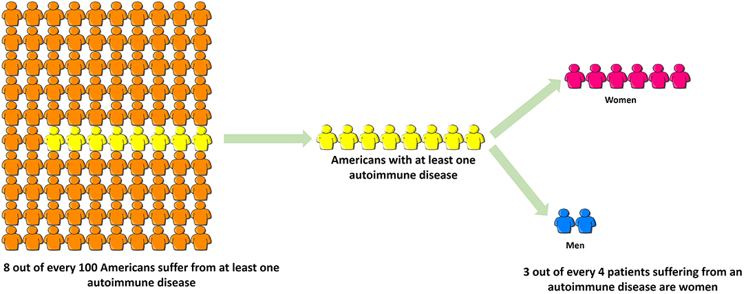 Frontiers Autoimmune Disease In Women Endocrine Transition And Risk