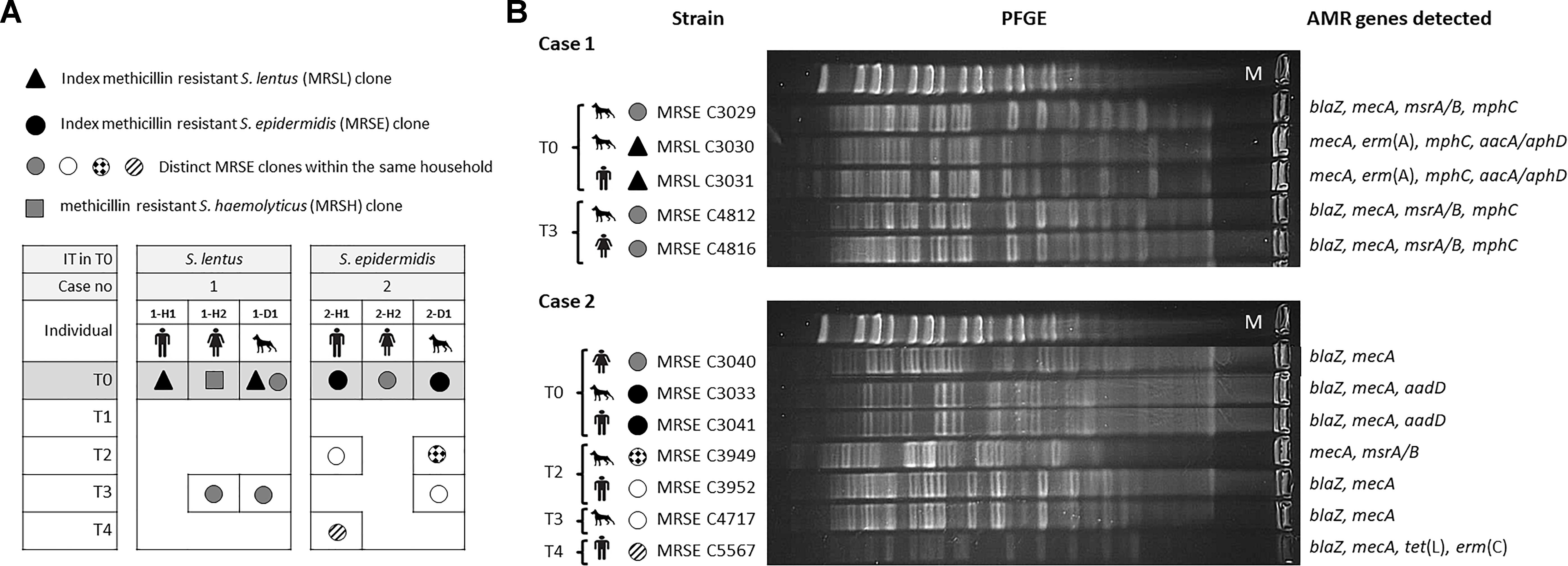 Frontiers Clonally Diverse Methicillin And Multidrug Resistant Coagulase Negative Staphylococci Are Ubiquitous And Pose Transfer Ability Between Pets And Their Owners Microbiology