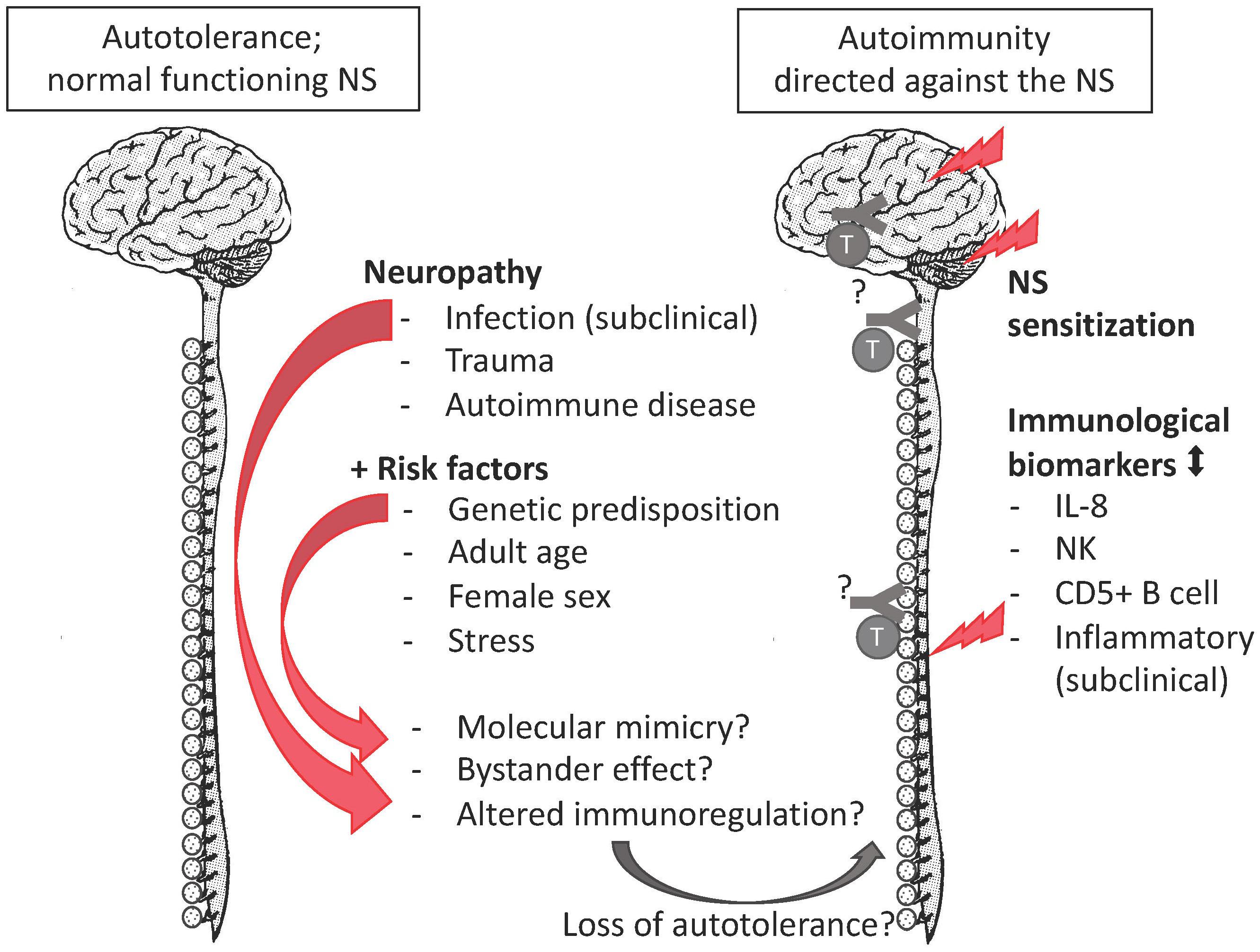 Frontiers Immune System Sex Differences May Bridge The Gap Between