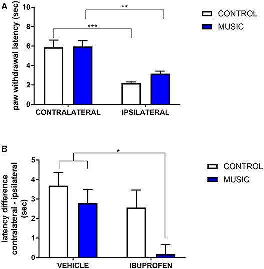 Digital Therapeutics for Neuromuscular Conditions