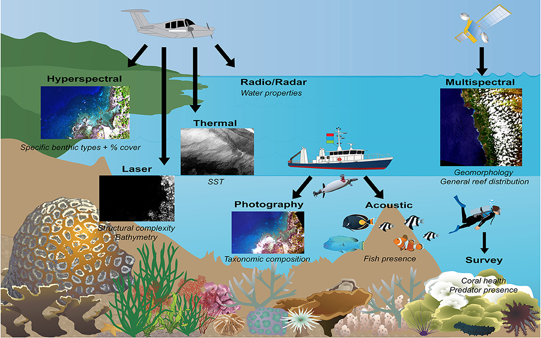 Frontiers | Scaling Up Coral Reef Restoration Using Remote Sensing ...