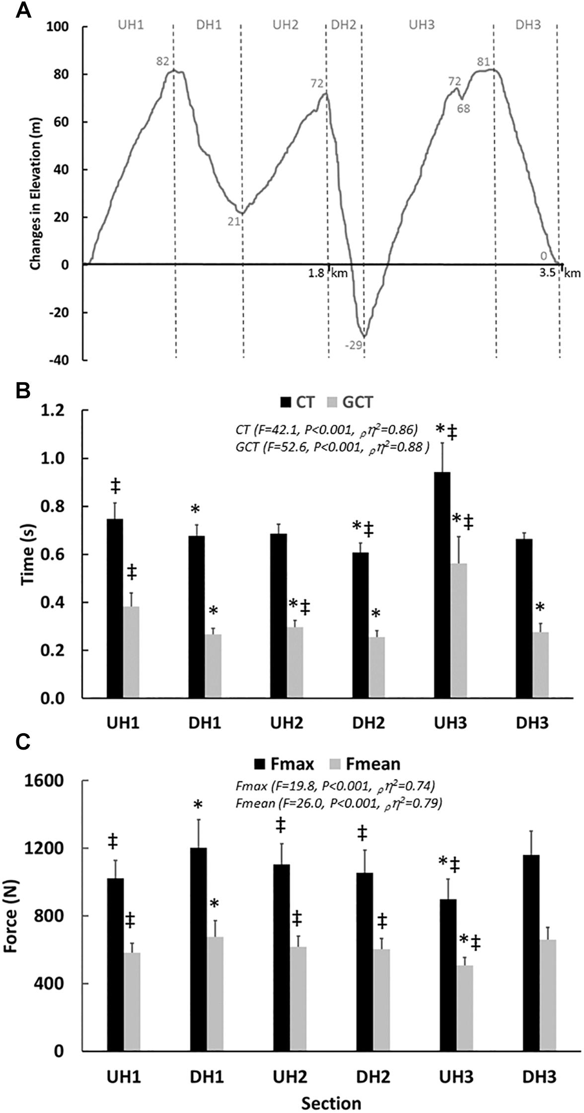 Biomechanics under the microscope: increase your running speed