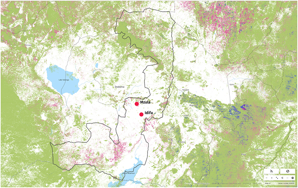 www.frontiersin.org