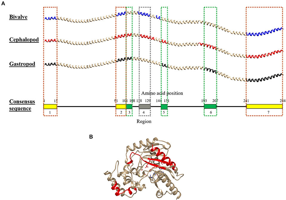 Frontiers | Conservation Analysis of B-Cell Allergen Frontiers | Conservation Analysis of B-Cell Allergen