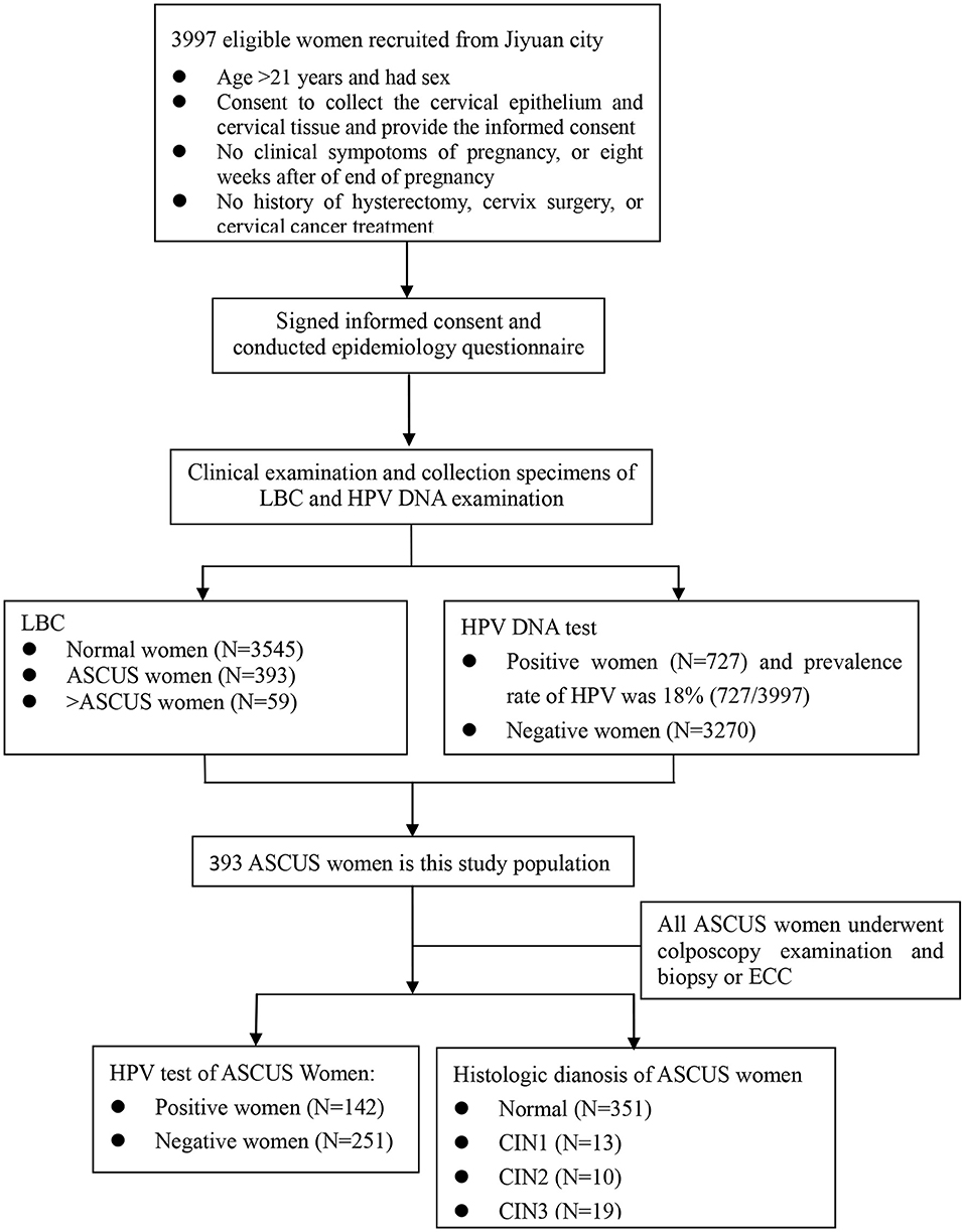 Hpv high risk pregnancy