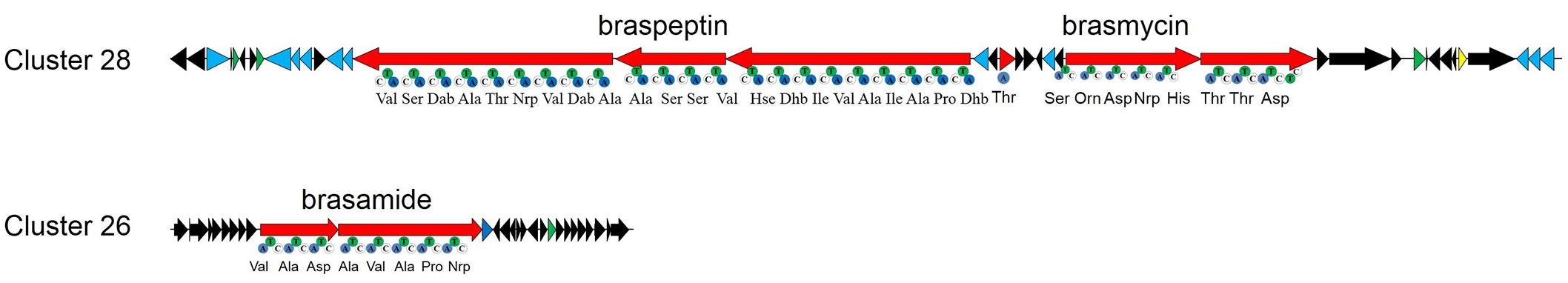www.frontiersin.org