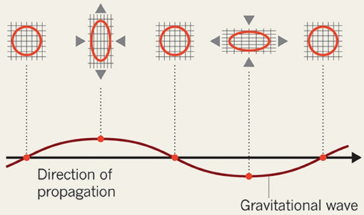 Figure 2 - Gravitational waves travel at the speed of light.